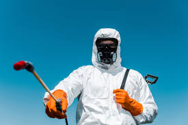 Trusted Weslaco, TX Pest Control Experts